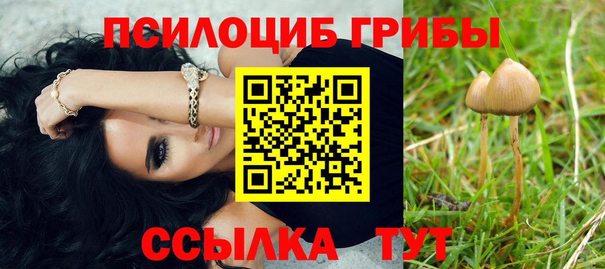 Печора  Псилоцибиновые грибы Psilocybe  Вход с VPN  Галлюциногенные грибы прущие грибы 